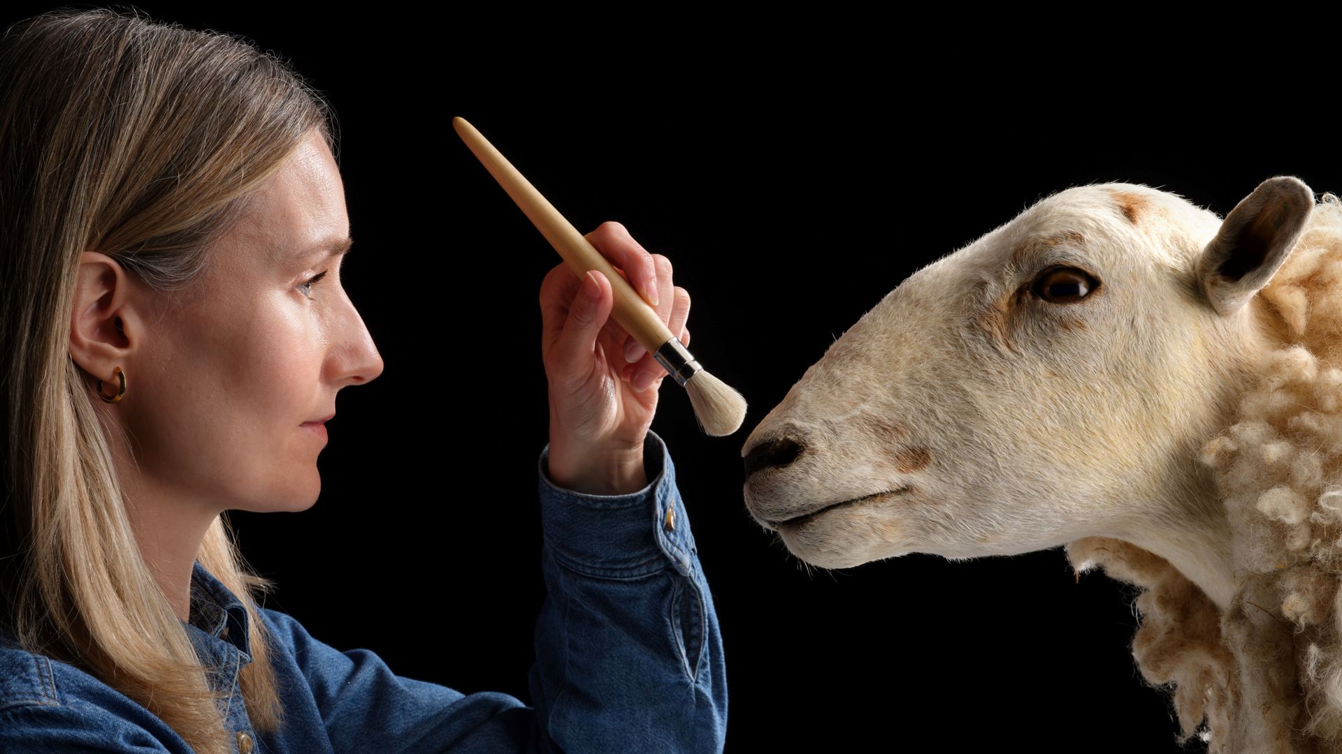 克隆羊多莉的前身亮相展示