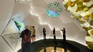 下载:互联网上最好的天气应用程序,以及为什么人们会冻结他们的大脑