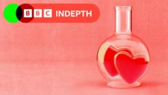 灵魂伴侣的科学：有适合你的人吗？