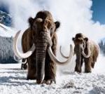 OpenAI 关闭了 Sora 视频制作应用程序并取消了 10 亿美元的迪士尼交易