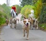 随着咨询开始,越野狩猎禁令越来越近