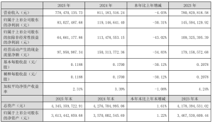 视觉中国：2025 年归母净利润 8302.75 万元，同比下降 30.31%