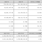 视觉中国:2025 年归母净利润 8302.75 万元,同比下降 30.31%