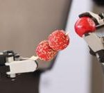 中國人形機器人之夢:當熱度退潮,留下的是泡沫還是繁榮?