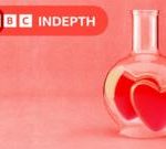 灵魂伴侣的科学:有适合你的人吗?