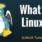 每个初学者数据工程师都应该了解的 Linux 基础知识