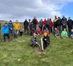种植 30,000 棵树打造温带雨林