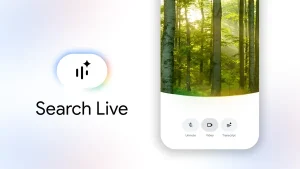Search Live 正在全球扩张