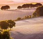 竞标 100 万英镑以改善“珍贵”景观