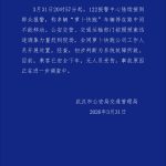 多辆萝卜快跑车辆停在路中间不能移动,武汉交警通报称系统故障所致