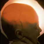 秘密初创公司推销无脑克隆人的内部