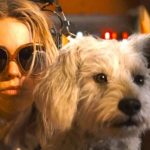 《女超人》预告片中拯救氪星是一场与时间的赛跑