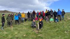 种植 30,000 棵树打造温带雨林