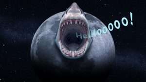 Moonshark 编辑关于阿尔忒弥斯 II 的一句话